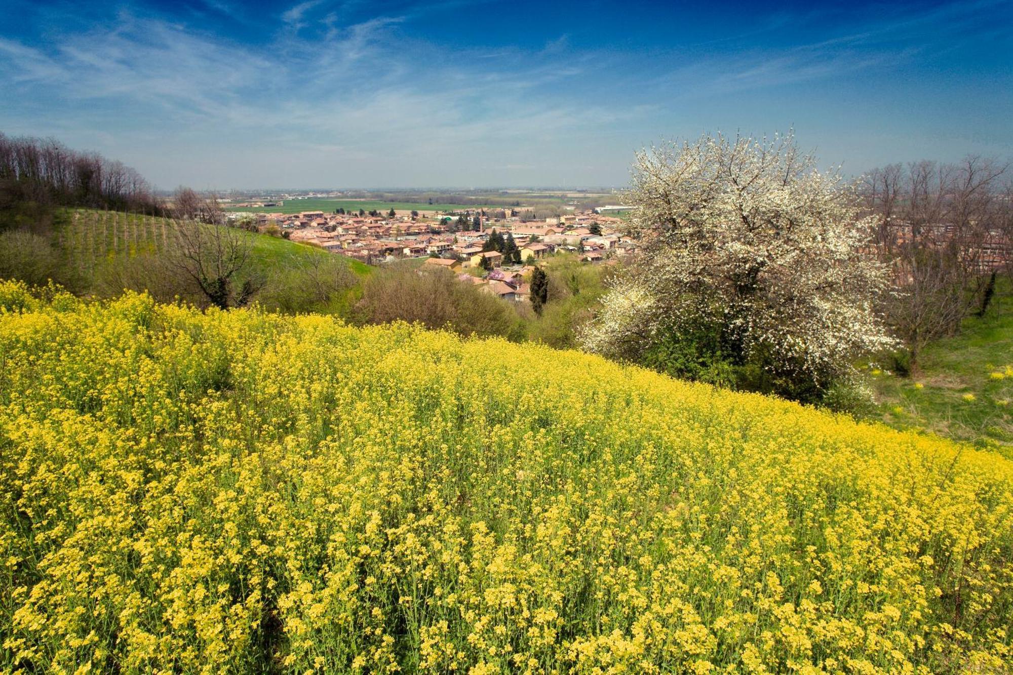 San Colombano al Lambro Bed & Breakfast Sforza 19 מראה חיצוני תמונה