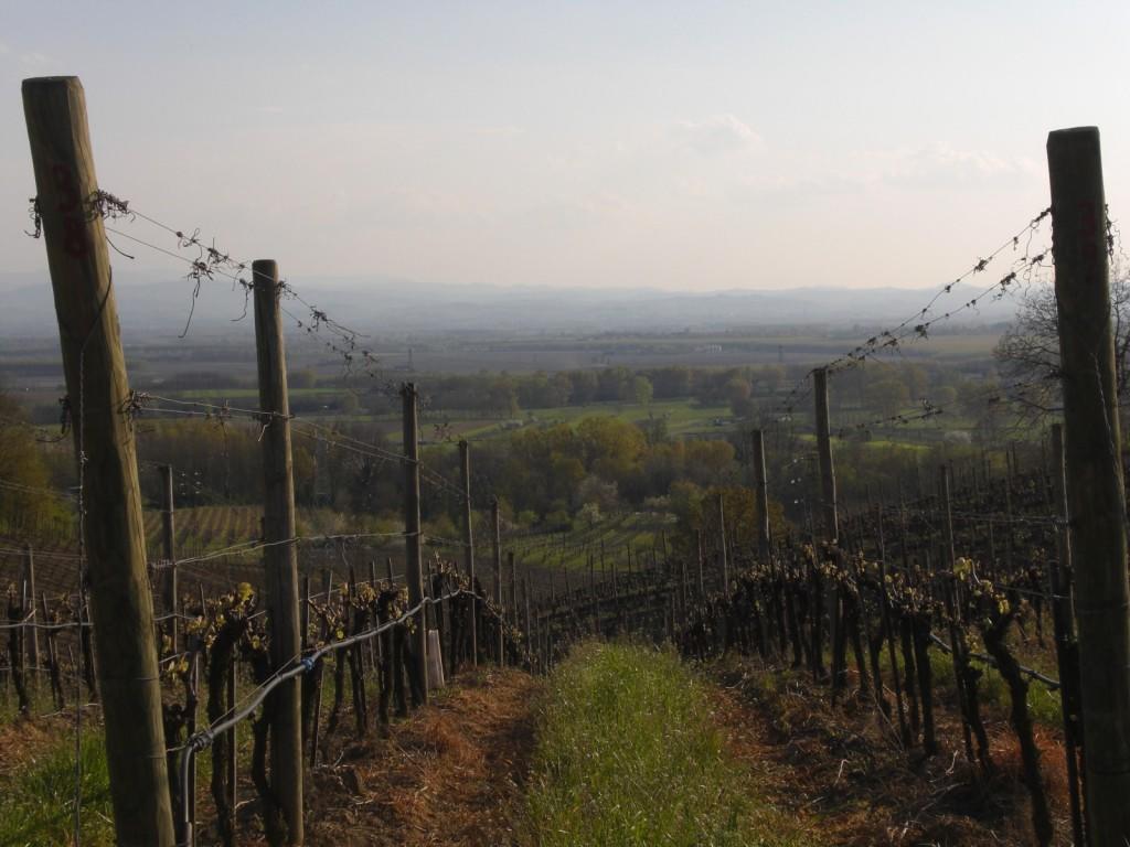 San Colombano al Lambro Bed & Breakfast Sforza 19 מראה חיצוני תמונה